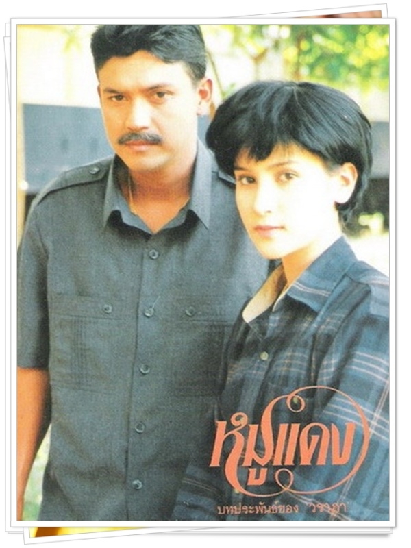 หมูแดง  (ไพโรจน์ + แอน ทองประสม )…10  DVD