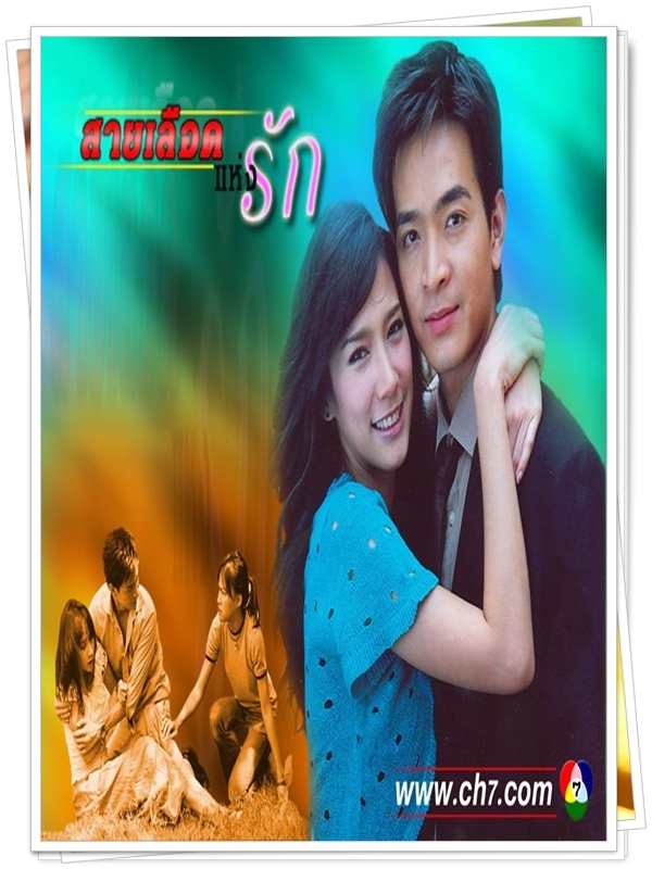 สายเลือดแห่งรัก …4  DVD