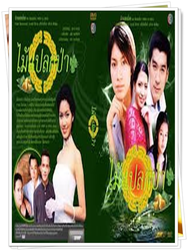 ไม้แปลกป่า 7 DVD  (พล + เบนซ์ พรชิตา )