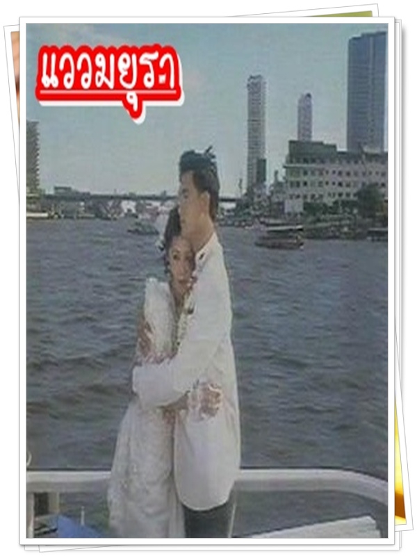 แววมยุรา 7 DVD  (โอ วรุฒ + กวาง กมลชนก )