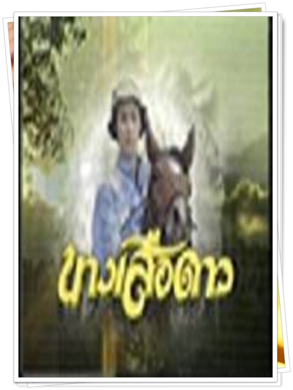 นางเสือดาว 6 DVD นางเสือดาว 6 DVD