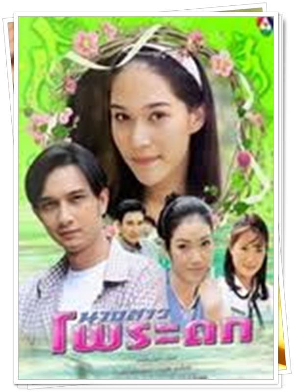 นางสาวโพระดก 6 DVD