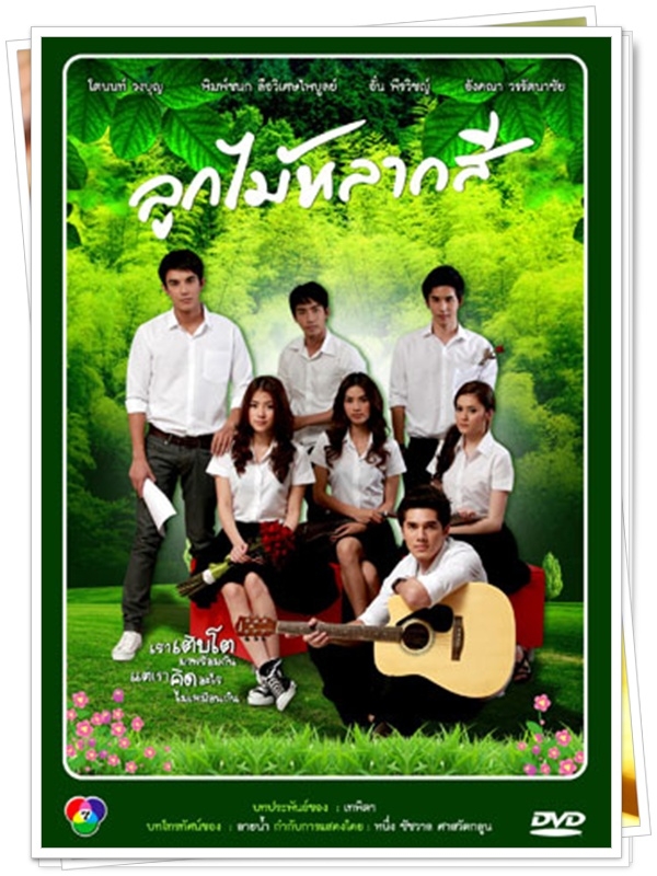 ลูกไม้หลากสี...(ใบเฟิร์น)...5 แผ่น