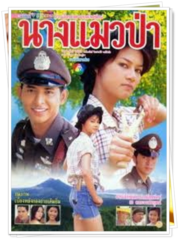 นางแมวป่า …5 DVD นางแมวป่า …5 DVD