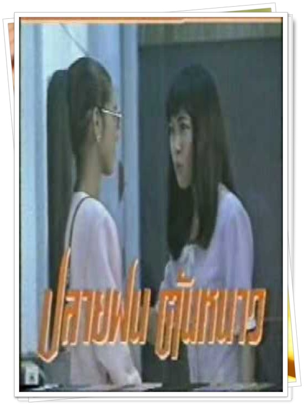 ปลายฝนต้นหนาว …5 DVD
