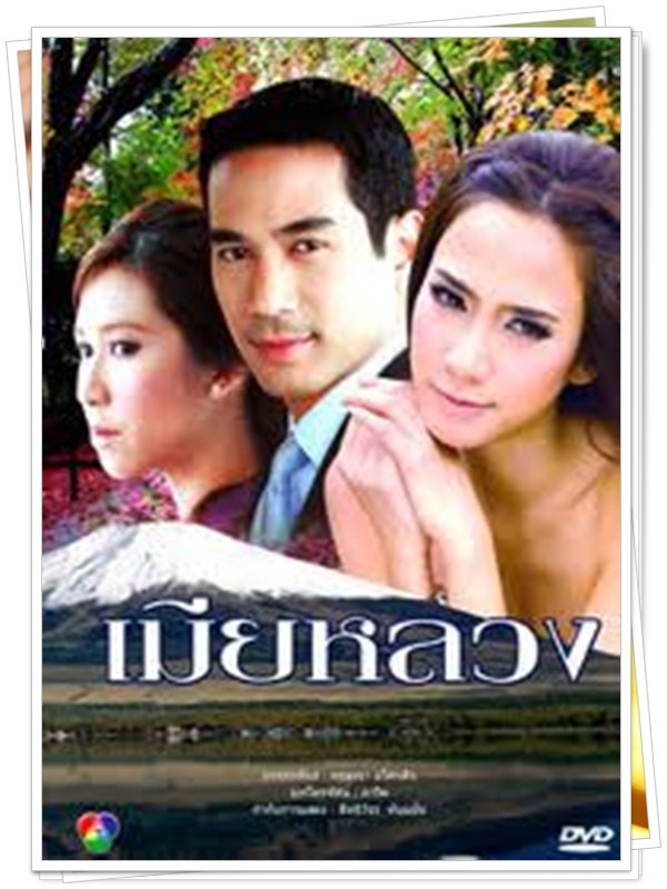 เมียหลวง 5 DVD 