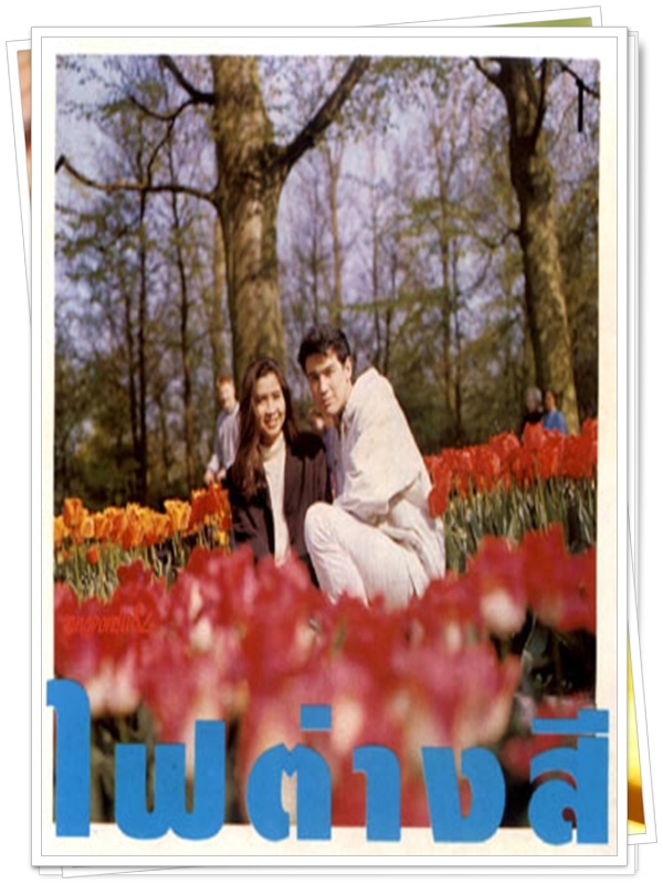 ไฟต่างสี 2 DVD  (วิลลี่ + หมิว ลลิตา )