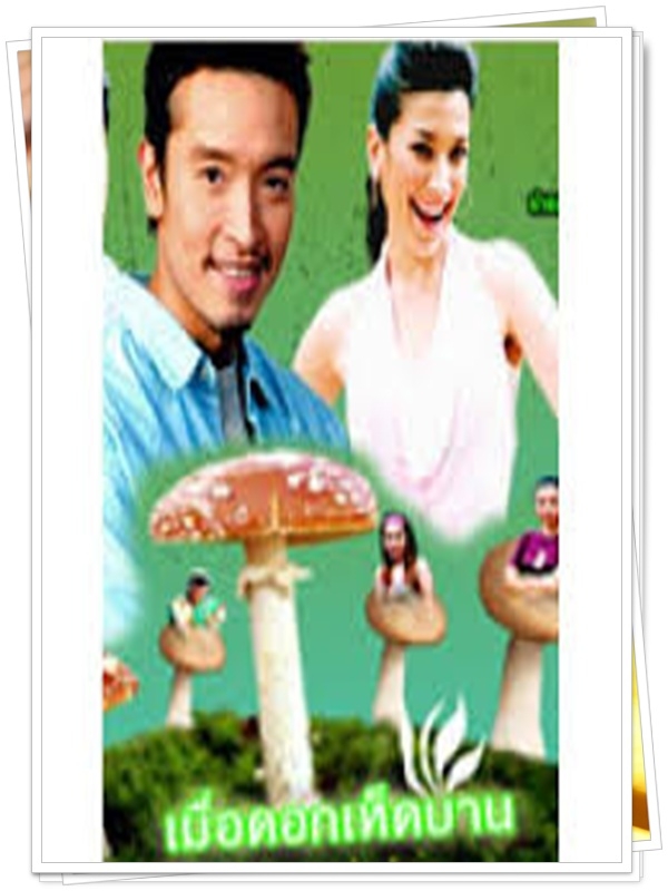 เมื่อดอกเห็ดบาน 2 DVD  (ชาย + แองจี้ เฮสติ้ง )