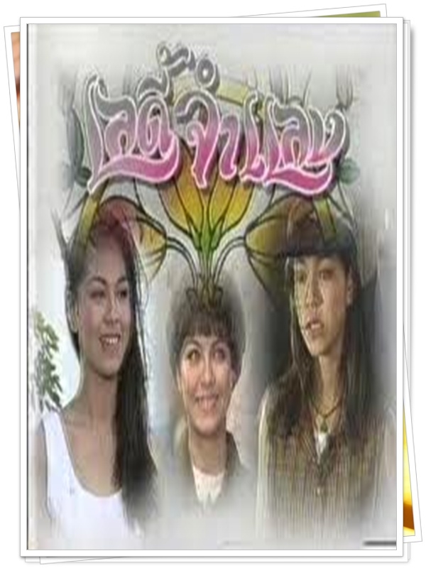 เลดี้จำแลง 2 DVD  (จักรกฤษณ์ + จอย ศิริลักษณ์ )