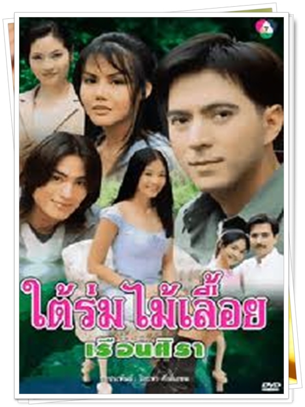ใต้ร่มไม้เลื้อยเรือนศิลา 3 DVD  (แซม ยุรนันท์ + ปรียานุช + นาวิน ตาร์ + เอิร์น )