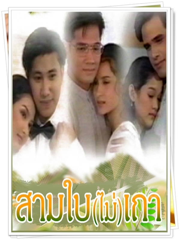 สามใบไม่เถา 3 DVD