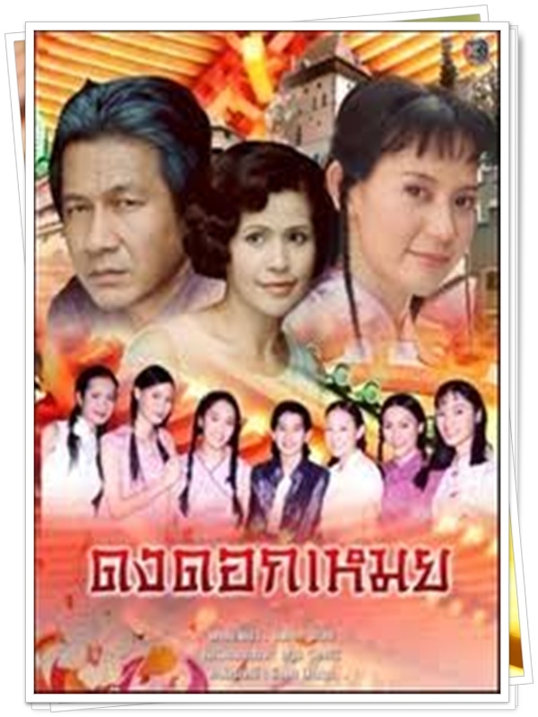 ดงดอกเหมย 4 DVD