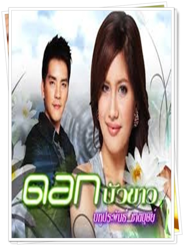 ดอกบัวขาว 4 DVD ดอกบัวขาว 4 DVD