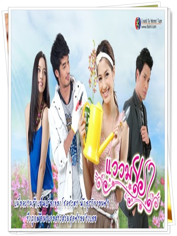 แววมยุรา 4 DVD แววมยุรา 4 DVD