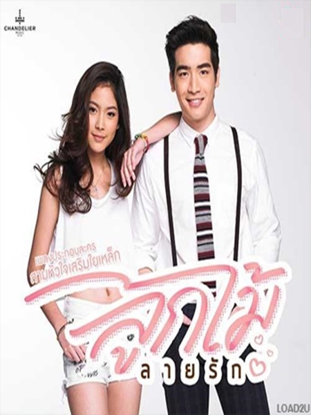 ลูกไม้ลายรัก [สามหัวใจเสริมใยเหล็ก] 4   DVD  (ดรีม+ฝ้าย )
