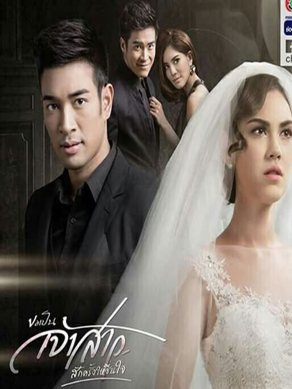 ขอเป็นเจ้าสาวสักครั้งให้ชื่นใจ  5 DVD (เกรท+แมท )