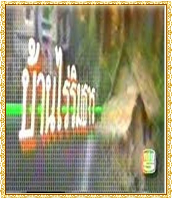 บ้านไร่ริมธาร ต้น ตระการ + กวินนา บ้านไร่ริมธาร ต้น ตระการ + กวินนา